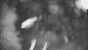 SKICENTRUM Miroslav Lipová Lázně - Výstupní stanice lanové dráhy - 29.1.2026 v 21:15 SKICENTRUM Miroslav Lipová Lázně - Výstupní stanice lanové dráhy - 29.1.2026 v 21:15