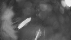 SKICENTRUM Miroslav Lipová Lázně - Výstupní stanice lanové dráhy - 29.1.2026 v 21:30 SKICENTRUM Miroslav Lipová Lázně - Výstupní stanice lanové dráhy - 29.1.2026 v 21:30