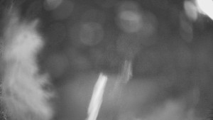 SKICENTRUM Miroslav Lipová Lázně - Výstupní stanice lanové dráhy - 29.1.2026 v 22:00 SKICENTRUM Miroslav Lipová Lázně - Výstupní stanice lanové dráhy - 29.1.2026 v 22:00