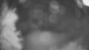 SKICENTRUM Miroslav Lipová Lázně - Výstupní stanice lanové dráhy - 29.1.2026 v 22:15 SKICENTRUM Miroslav Lipová Lázně - Výstupní stanice lanové dráhy - 29.1.2026 v 22:15