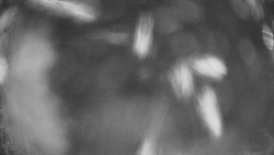 Výstupní stanice lanové dráhy