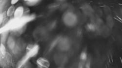 Výstupní stanice lanové dráhy