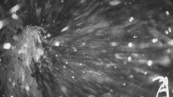 Výstupní stanice lanové dráhy