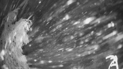 Výstupní stanice lanové dráhy