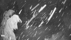 Výstupní stanice lanové dráhy