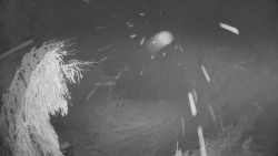 Výstupní stanice lanové dráhy