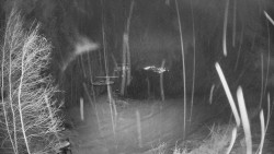 Výstupní stanice lanové dráhy