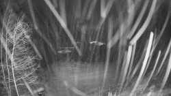 Výstupní stanice lanové dráhy