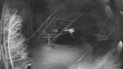 Výstupní stanice lanové dráhy