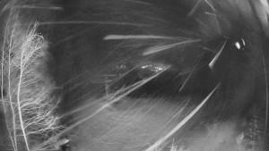 SKICENTRUM Miroslav Lipová Lázně - Výstupní stanice lanové dráhy - 12.2.2026 v 21:30 SKICENTRUM Miroslav Lipová Lázně - Výstupní stanice lanové dráhy - 12.2.2026 v 21:30