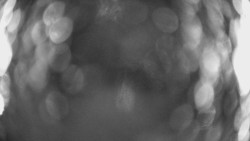 Výstupní stanice lanové dráhy