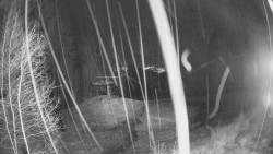 Výstupní stanice lanové dráhy