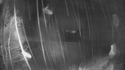 Výstupní stanice lanové dráhy