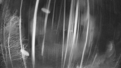 Výstupní stanice lanové dráhy