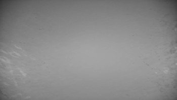 Snímek 14.11.2025 v 17:00