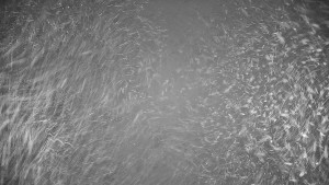 Ski areál Branná - Výstup z lanovky - 20.12.2025 v 03:00 Ski areál Branná - Výstup z lanovky - 20.12.2025 v 03:00