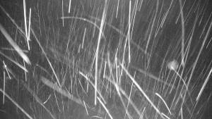 Ski areál Branná - Výstup z lanovky - 13.1.2026 v 04:00 Ski areál Branná - Výstup z lanovky - 13.1.2026 v 04:00