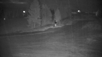 Snímek 8.11.2025 v 20:00