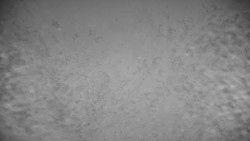 Ski Branná - horní kamera