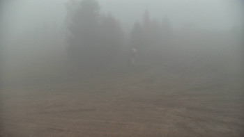 Snímek 14.11.2025 v 07:00