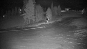 Ski areál Branná - Ski Branná - horní kamera - 18.11.2025 v 03:00 Ski areál Branná - Ski Branná - horní kamera - 18.11.2025 v 03:00