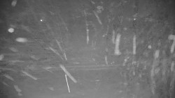 Ski Branná - horní kamera