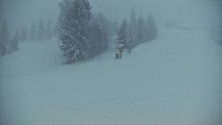 Ski Branná - horní kamera