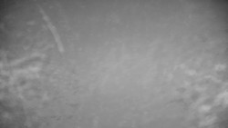 Ski Branná - horní kamera