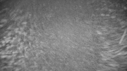 Ski Branná - horní kamera