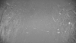 Ski Branná - horní kamera