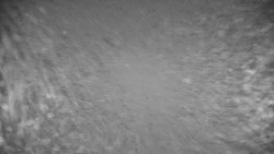 Ski Branná - horní kamera