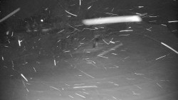 Ski Branná - horní kamera