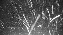 Ski Branná - horní kamera