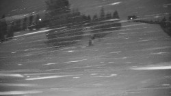 Ski Branná - horní kamera