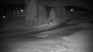 Ski areál Branná - Ski Branná - horní kamera - 5.4.2026 v 21:00 Ski areál Branná - Ski Branná - horní kamera - 5.4.2026 v 21:00