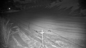 Ski areál Branná - Červená sjezdovka Jednička - 1.3.2023 v 01:00