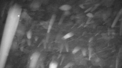 Červená sjezdovka Jednička