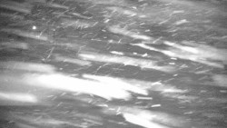 Červená sjezdovka Jednička