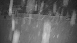 Červená sjezdovka Jednička