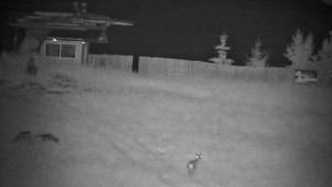 Ski areál Branná - Červená sjezdovka Jednička - 16.6.2026 v 03:01 Ski areál Branná - Červená sjezdovka Jednička - 16.6.2026 v 03:01
