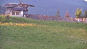 Ski areál Branná - Červená sjezdovka Jednička - 16.6.2026 v 05:06 Ski areál Branná - Červená sjezdovka Jednička - 16.6.2026 v 05:06