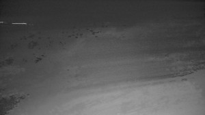 Ski areál Branná - Ski Branná - horní kamera - 3.3.2023 v 01:00