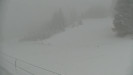 Ski areál Branná - Ski Branná - horní kamera - 8.3.2023 v 17:00
