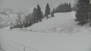 Ski areál Branná - Ski Branná - horní kamera - 11.3.2023 v 07:00