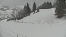 Ski areál Branná - Ski Branná - horní kamera - 11.3.2023 v 08:00