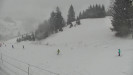 Ski areál Branná - Ski Branná - horní kamera - 11.3.2023 v 11:00