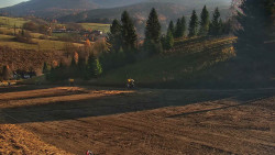 Ski Branná - horní kamera