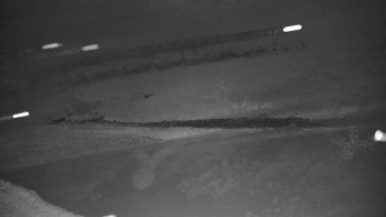 Snímek 7.11.2025 v 01:00