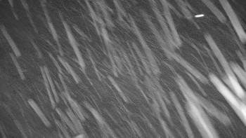 Snímek 8.11.2025 v 23:00