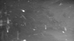 Ski Branná - horní kamera